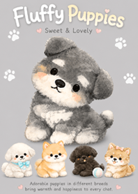 Gray Fluffy Puppies