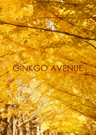 GINKGO AVENUE-hisatoto 3
