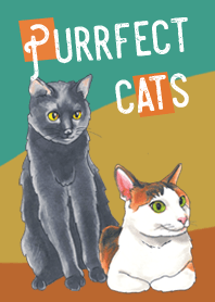 猫たちのゴロゴロと甘える時間