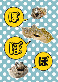 口を「ぽ」っかり開けたお魚さん