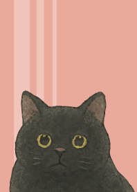 Chubby black cat on pink & blue