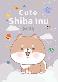 misty cat-Shiba Inu Galaxy gray