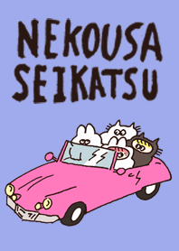 ねこうさ生活