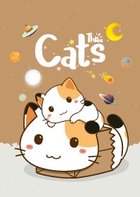 Three Cats Love Brown