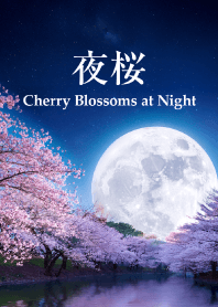 "Cherry Blossoms at Night vol.7" theme