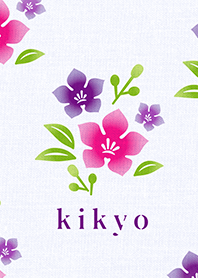 kikyo(matsuri-yukata)