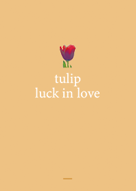 Orange : Love luck tulip