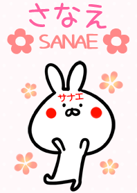 【さなえさん】専用 うさぎの名前着せかえ