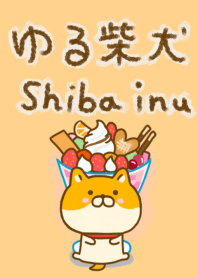 Shiba inu Yuru friendly