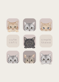 CATS - American Shorthair - BROWN GRAY