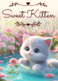 Sweet Kitten No.430