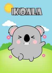 Fat Koala Theme