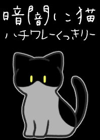 暗闇に猫【ハチワレ猫：白黒】くっきり