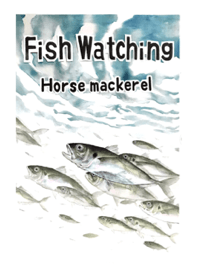 Fish watching horse mackerel