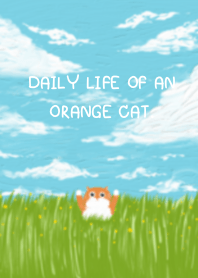 Daily life of an orange cat.