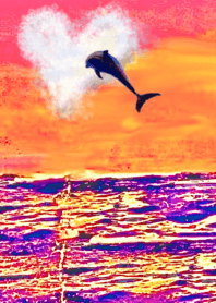lucky sunset dolphin Sea