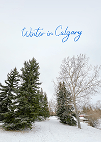 Winter in Calgary (10)
