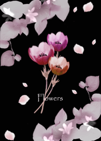 Anemone flowers are blooming7.