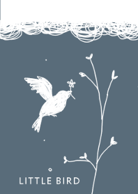 The Little bird