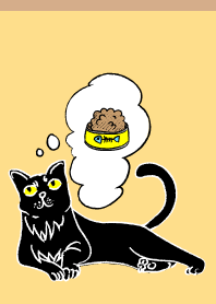 Thinking Cat3 on B&Y