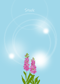 January's birth flower, Stock