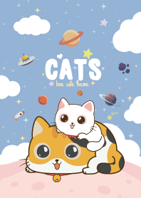 Cats Fat Kawaii Blue