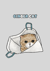 gingercat7 / light grey