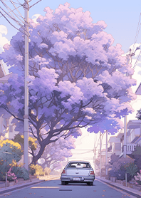 絕美紫花樹街道❤️