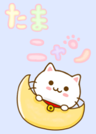 たまニャン