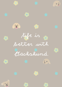 Life is better with Dachshund. II