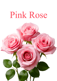 Pink Rose vol.5