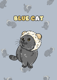 bluecat2 - slate blue
