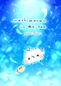 mashimarou in the sea #cool