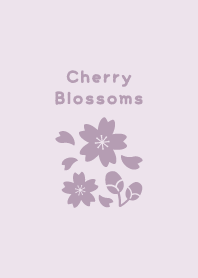Cherry Blossoms20.PurplePink.