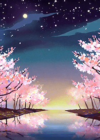 Beautiful night cherry blossoms#776