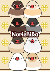 Norichika Round and cute Java sparrow