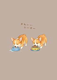 我養的可愛柯基犬(咖啡色)