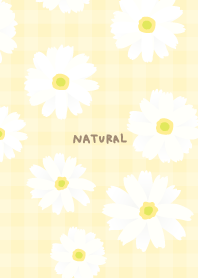 White Marguerite Simple11