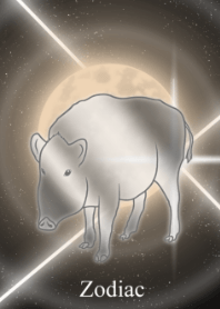 Zodiac wild boar and moon JPN