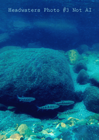 Headwaters Photo #3-7 Not AI