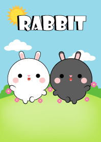 กระต่ายดำ&กระต่ายขาว น้อยน่ารัก