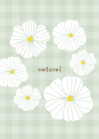 6 white flowers check18 from Japan