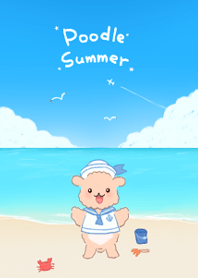 Poodle Summer☆