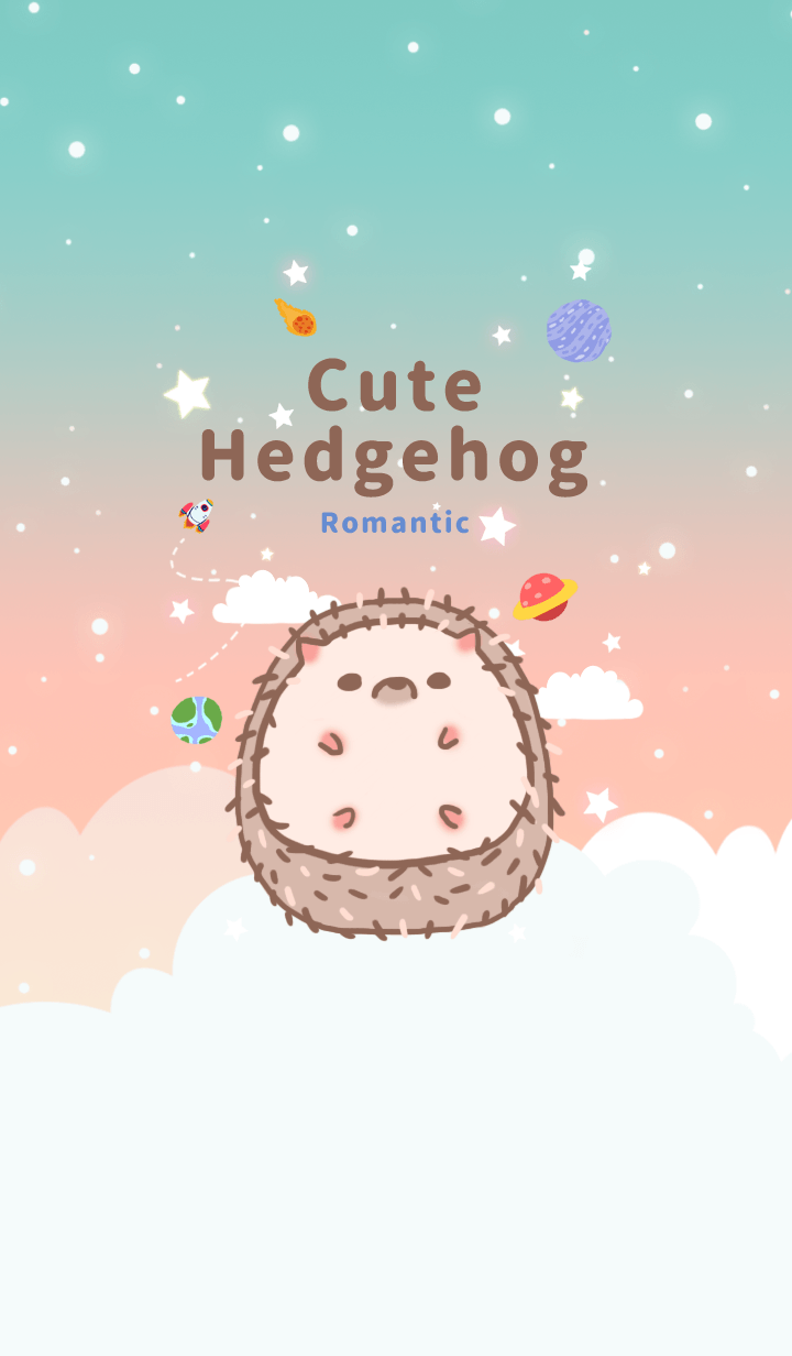 misty cat-Cute Hedgehog Galaxy romantic2