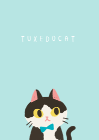 black and white tuxedo cat