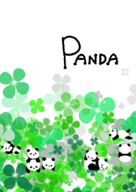 CLOVER&PANDA
