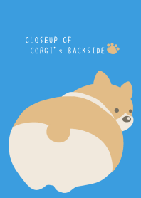 CLOSEUP OF CORGI's BACKSIDE/BLUE/YELLOW