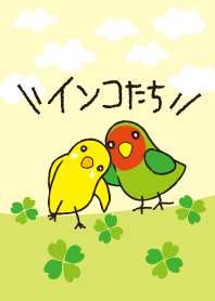 インコたち