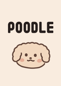 Cute toy poodle theme 3