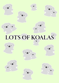 LOTS OF KOALAS/LIGHT YELLOW GREEN